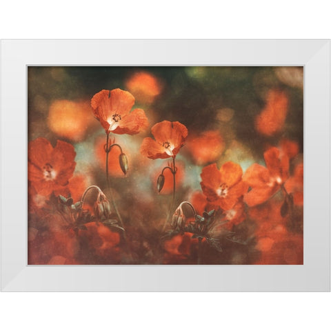 Floral Art In Red White Modern Wood Framed Art Print by Georgieva V, Nikki