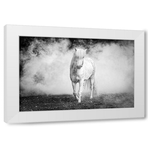 Icelandic Pony White Modern Wood Framed Art Print by C. Sink, Jeffrey