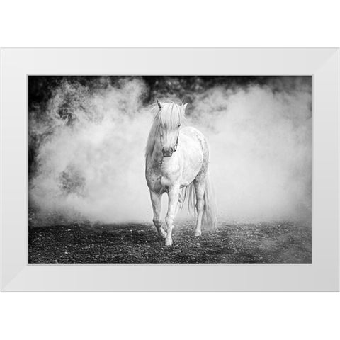 Icelandic Pony White Modern Wood Framed Art Print by C. Sink, Jeffrey