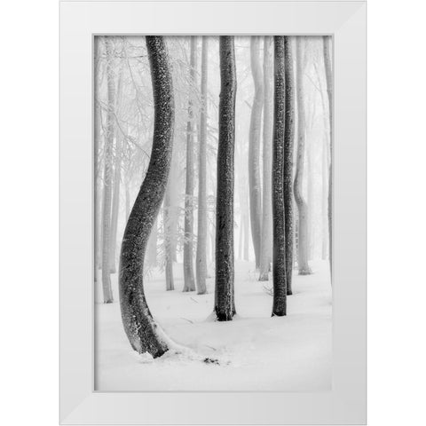 Shapes White Modern Wood Framed Art Print by Pavlasek, Tom