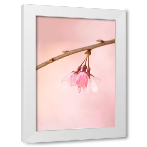 The Icon Of Spring White Modern Wood Framed Art Print by Passion, F4