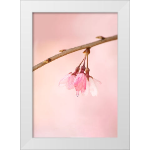 The Icon Of Spring White Modern Wood Framed Art Print by Passion, F4