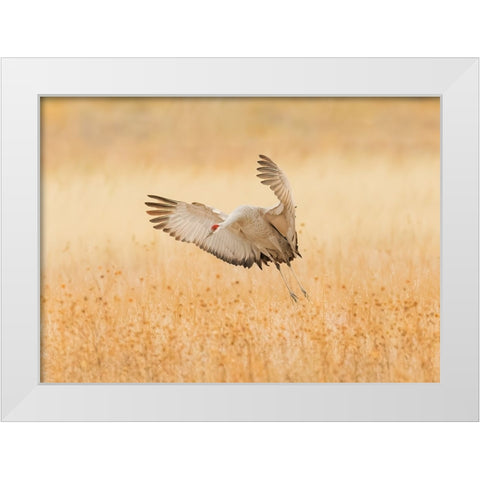 Untitled White Modern Wood Framed Art Print by Wang, Qingsong