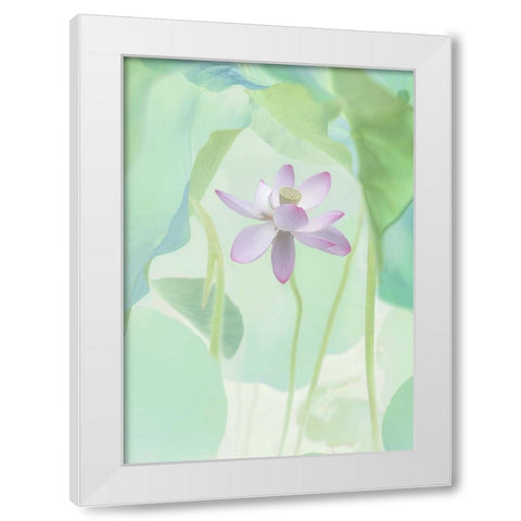 Lotus Flower White Modern Wood Framed Art Print by L., Binbin