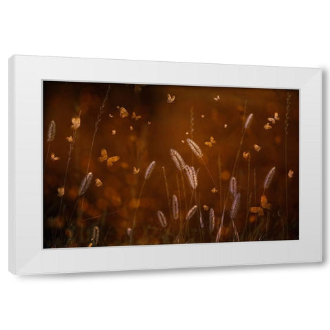 Love Is In The Air White Modern Wood Framed Art Print by Kiral, Cicek