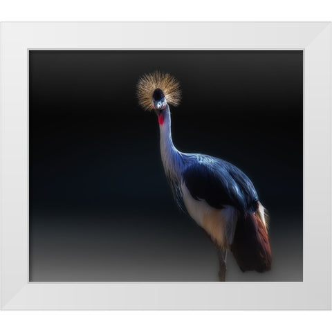 crane White Modern Wood Framed Art Print by Kamera