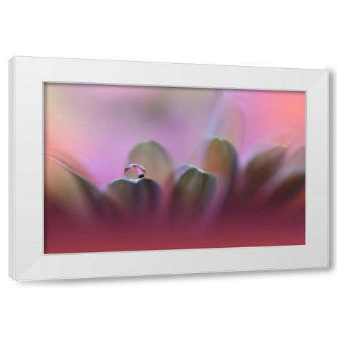 Untitled White Modern Wood Framed Art Print by Nan, Juliana