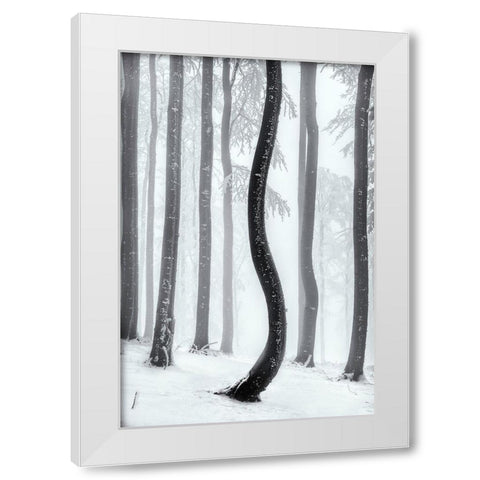 Dancing Tree White Modern Wood Framed Art Print by Pavlasek, Tom
