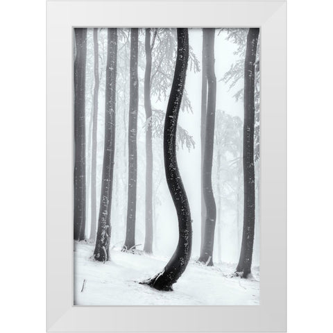 Dancing Tree White Modern Wood Framed Art Print by Pavlasek, Tom
