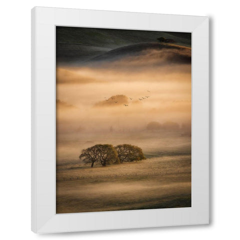 Morning Fog White Modern Wood Framed Art Print by Zheng, Michael