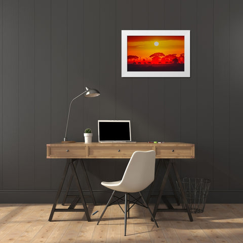 Amboseli Sunrise White Modern Wood Framed Art Print by C. Sink, Jeffrey