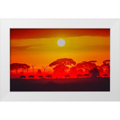 Amboseli Sunrise White Modern Wood Framed Art Print by C. Sink, Jeffrey