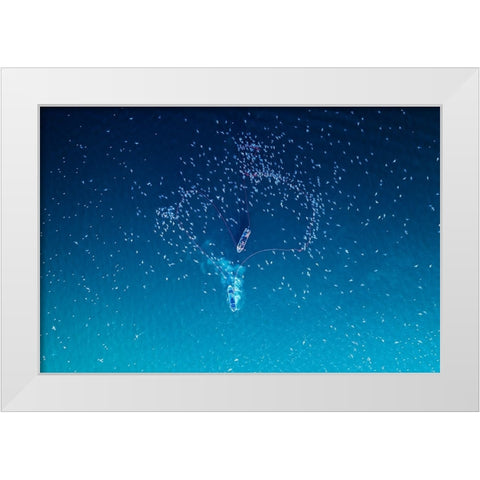 Fishing White Modern Wood Framed Art Print by AL Farsi, Haitham