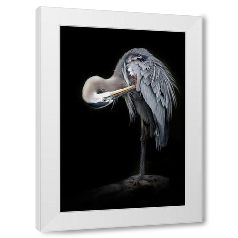 The Great Blue Heron White Modern Wood Framed Art Print by D Lester, Linda