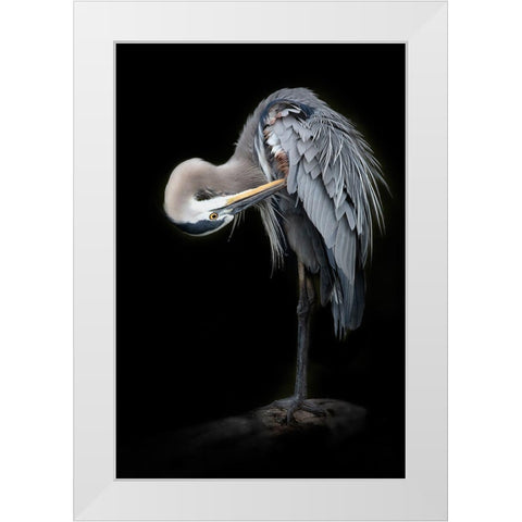The Great Blue Heron White Modern Wood Framed Art Print by D Lester, Linda