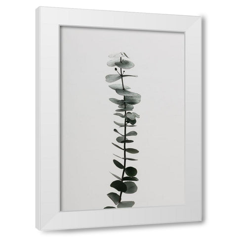 Eucalyptus Natural 02 White Modern Wood Framed Art Print by 1x Studio III