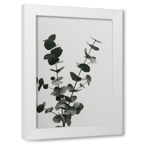 Eucalyptus Natural 04 White Modern Wood Framed Art Print by 1x Studio III