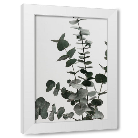 Eucalyptus Natural 07 White Modern Wood Framed Art Print by 1x Studio III