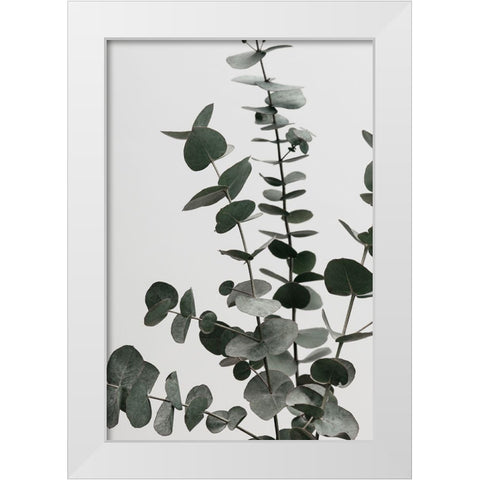 Eucalyptus Natural 07 White Modern Wood Framed Art Print by 1x Studio III