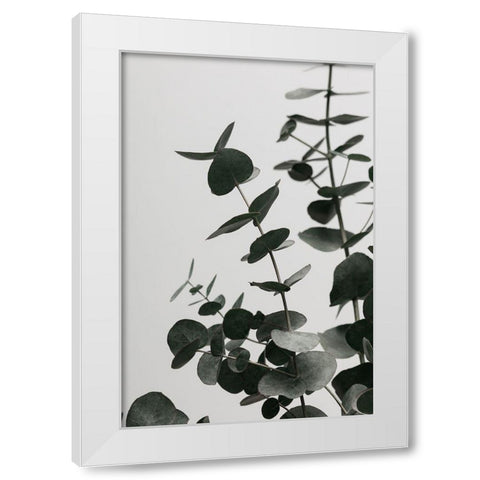 Eucalyptus Natural 08 White Modern Wood Framed Art Print by 1x Studio III