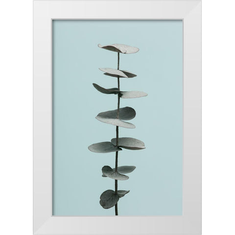 Eucalyptus Blue No 1 White Modern Wood Framed Art Print by 1x Studio III