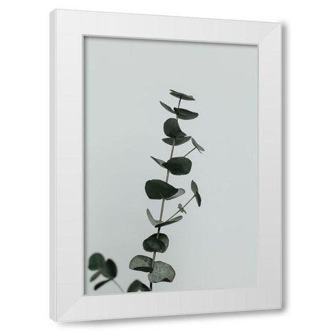 Eucalyptus Natural 10 White Modern Wood Framed Art Print by 1x Studio III