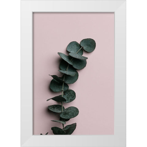 Eucalyptus Pink No 01 White Modern Wood Framed Art Print by 1x Studio III