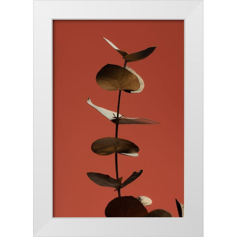 Eucalyptus Gold Rust 04 White Modern Wood Framed Art Print by 1x Studio III