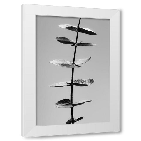 Eucalyptus Black a White White Modern Wood Framed Art Print by 1x Studio III