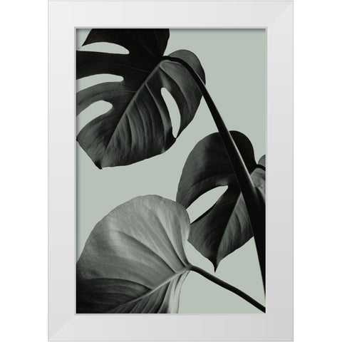 Monstera Teal 07 White Modern Wood Framed Art Print by 1x Studio III
