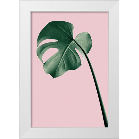 Monstera Pink No 05 White Modern Wood Framed Art Print by 1x Studio III