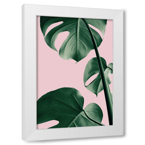 monstera rosa Monstera Pink No 06 by 1x Studio III – frametowall