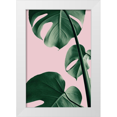 Monstera Pink No 06 White Modern Wood Framed Art Print by 1x Studio III
