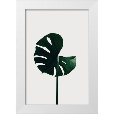 Monstera Natural 06 White Modern Wood Framed Art Print by 1x Studio III