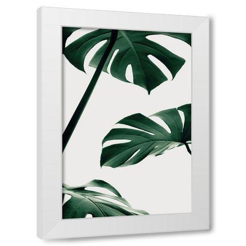 Monstera Natural 13 White Modern Wood Framed Art Print by 1x Studio III