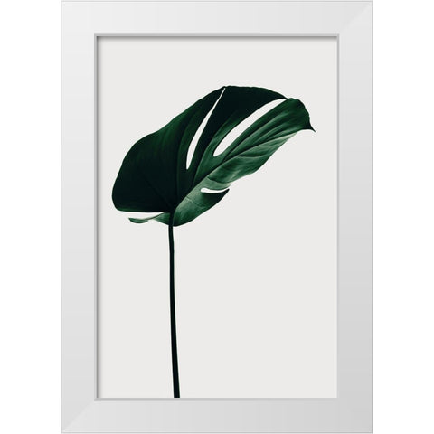 Monstera Natural 14 White Modern Wood Framed Art Print by 1x Studio III