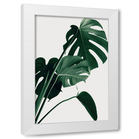Monstera Natural 22 White Modern Wood Framed Art Print by 1x Studio III