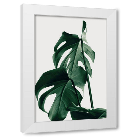 Monstera Natural 26 White Modern Wood Framed Art Print by 1x Studio III