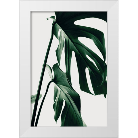 Monstera Natural 27 White Modern Wood Framed Art Print by 1x Studio III
