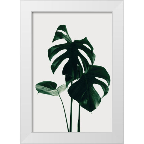 Monstera Natural 29 White Modern Wood Framed Art Print by 1x Studio III