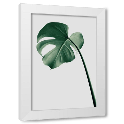 Monstera Natural 36 White Modern Wood Framed Art Print by 1x Studio III