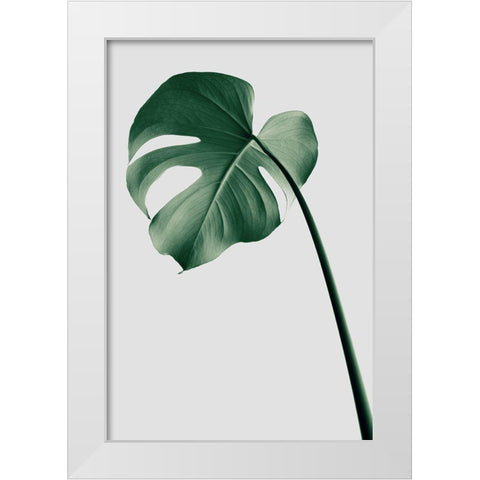 Monstera Natural 36 White Modern Wood Framed Art Print by 1x Studio III