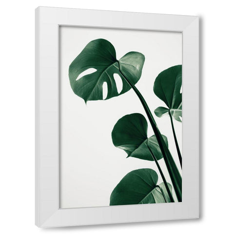 Monstera Natural 38 White Modern Wood Framed Art Print by 1x Studio III