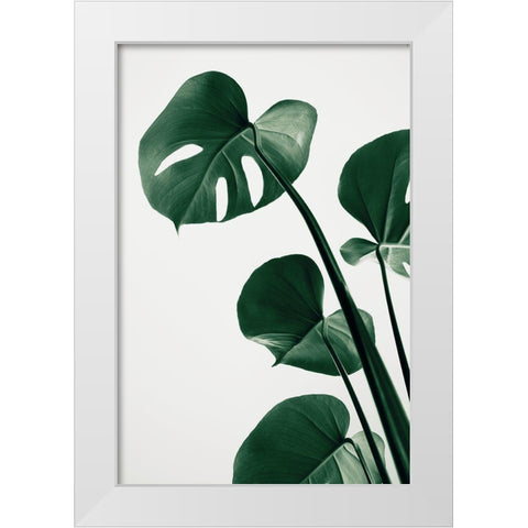 Monstera Natural 38 White Modern Wood Framed Art Print by 1x Studio III