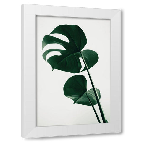 Monstera Natural 41 White Modern Wood Framed Art Print by 1x Studio III
