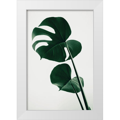 Monstera Natural 41 White Modern Wood Framed Art Print by 1x Studio III