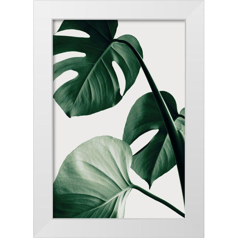Monstera Natural 42 White Modern Wood Framed Art Print by 1x Studio III