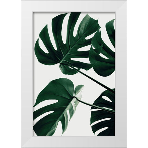 Monstera Natural 43 White Modern Wood Framed Art Print by 1x Studio III