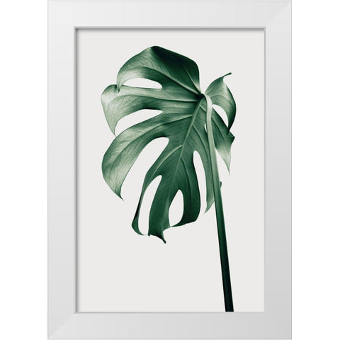 Monstera Natural 44 White Modern Wood Framed Art Print by 1x Studio III