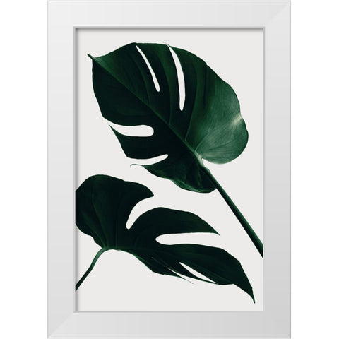 Monstera Natural 45 White Modern Wood Framed Art Print by 1x Studio III